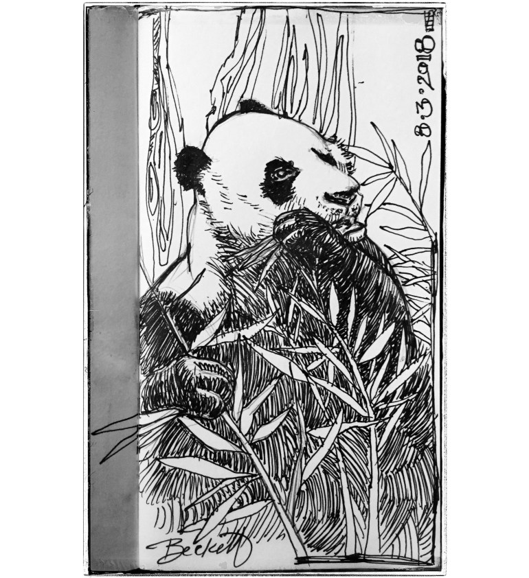 2018-08-03 16.56.53-3.jpg