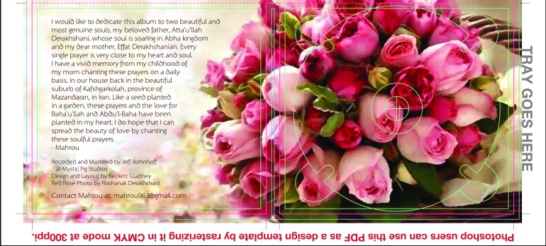 Mahrou Inside Tray 6c